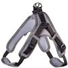 Hunter Neopren Geschirr schwarz/grau XS (Hunter)