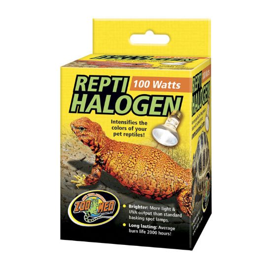 AS Repti Halogen Spot 50 Watt (AS)