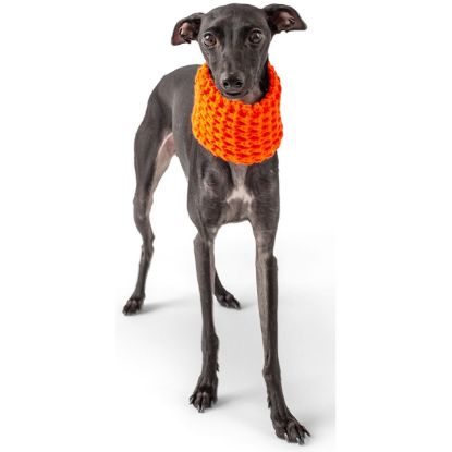 GF Pet Scout Schlauchschal orange L (GF PET)