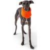 GF Pet Scout Schlauchschal orange L (GF PET)