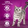 Whiskas 1+ Adult Trockenfutter 800g Rind (Whiskas)