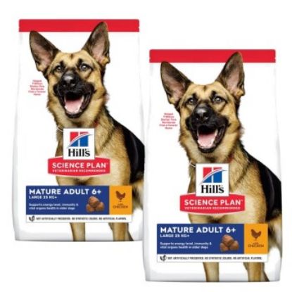 Hill's Canine Active Longevity Mature Adult 6+ Senior Large Breed 2x14 kg (Hills)