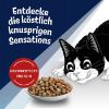 Felix Countryside Sensations Rind & Huhn 1 kg (Felix)