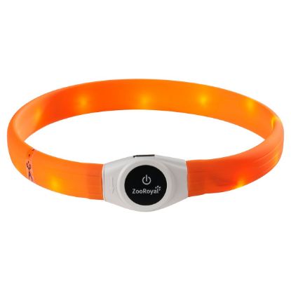 ZooRoyal LED Leuchthalsband USB Langhaar orange (ZooRoyal)