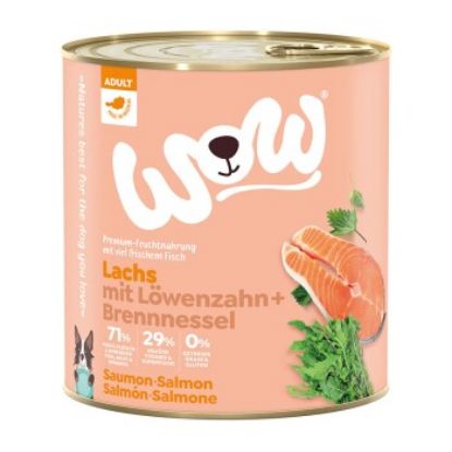 WOW Adult 6x800g Lachs mit Löwenzahn (Wow)