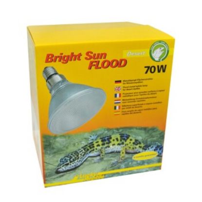 Lucky Reptile Bright Sun FLOOD Desert 70 W (Lucky Reptile)