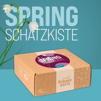 ZooRoyal Schatzkiste Katze Spring-Edition (ZooRoyal Schatzkiste)