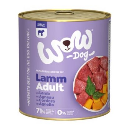 WOW Adult 6x800g Lamm mit Kürbis (Wow)